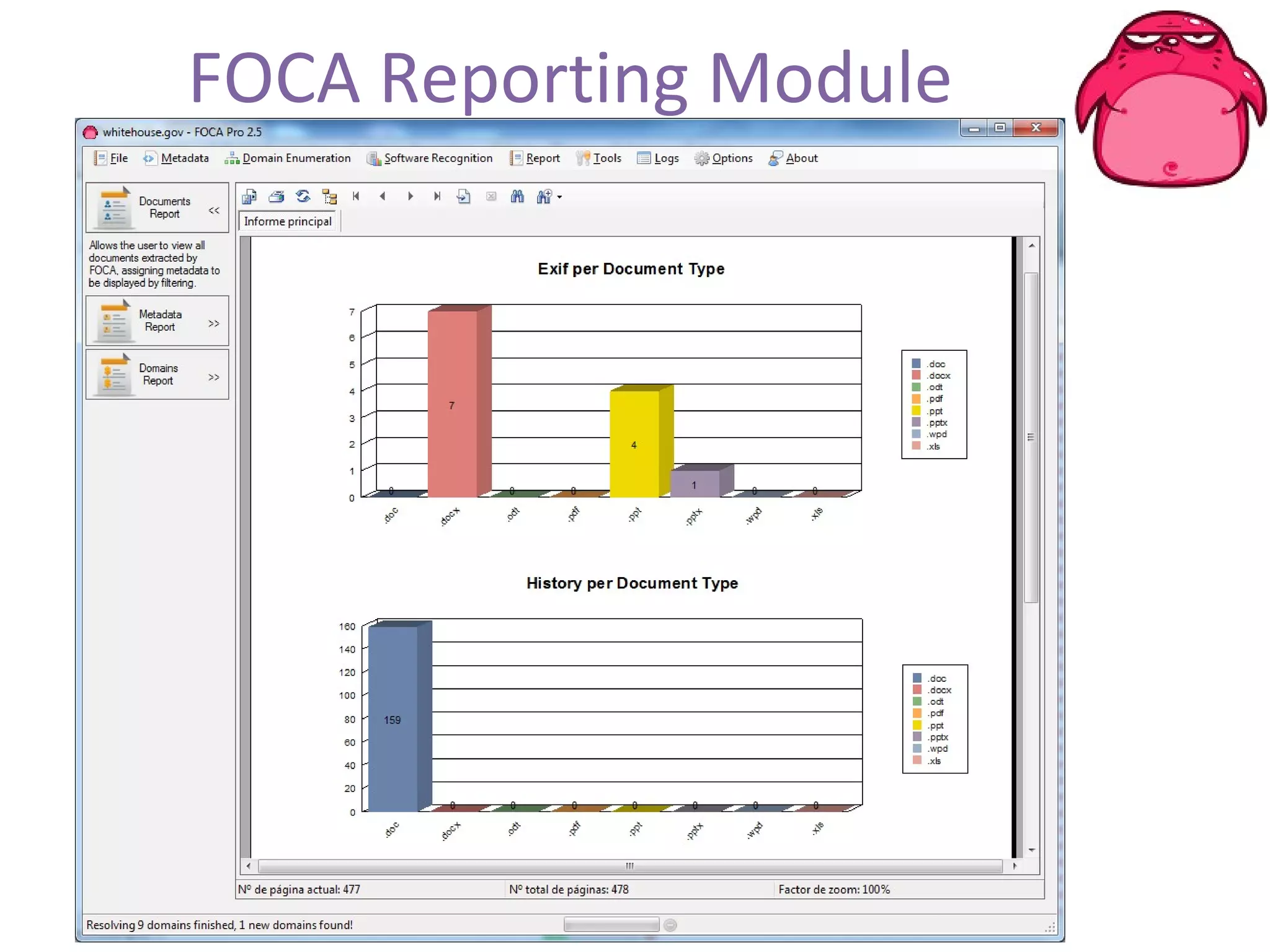 FOCA Reporting Module 