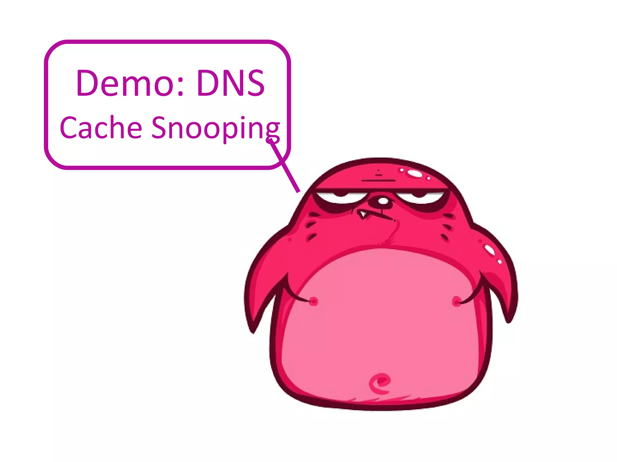 Demo: DNS Cache Snooping 