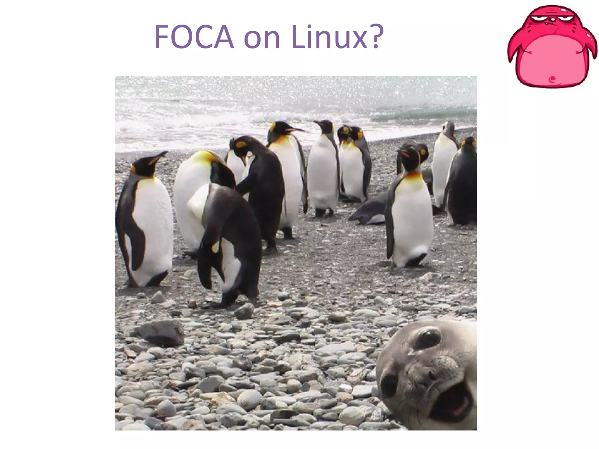 FOCA on Linux? 
