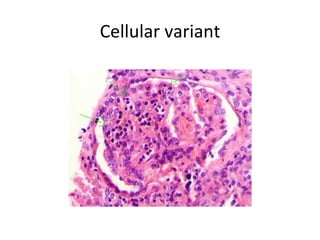 Cellular variant 