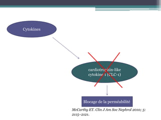 Cytokines




                     cardiotrophin-like
                     cytokine 1 (CLC-1)




                  Blocage de la perméabilité
            McCarthy ET. Clin J Am Soc Nephrol 2010; 5:
            2115–2121.
 