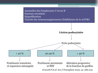 Anomalies des lymphocytes T et/ou B
                Facteurs circulants
                Hyperfiltration
                Toxicité des immunosuppresseurs (Inhibiteurs de la mTOR)




                                                Lésion podocytaire



                                                  Perte podocytaire



       < 20 %                    20-40 %                         > 40 %


Protéinurie transitoire    Protéinurie persistante     Altération progressive
et expansion mésangiale            et HSF              de la fonction du greffon
                               Cravedi P et al. Am J Transplant 2013; 13: 266-274.
 