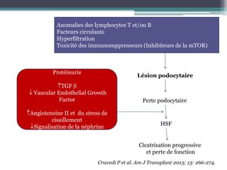 Anomalies des lymphocytes T et/ou B
          Facteurs circulants
          Hyperfiltration
          Toxicité des immunosuppresseurs (Inhibiteurs de la mTOR)



         Protéinurie
                                            Lésion podocytaire
            TGF
 Vascular Endothelial Growth
           Factor                             Perte podocytaire

Angiotensine II et du stress de
        cisaillement
                                                      HSF
 Signalisation de la néphrine


                                            Cicatrisation progressive
                                               et perte de fonction
                           Cravedi P et al. Am J Transplant 2013; 13: 266-274.
 