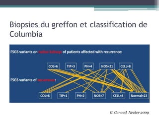 Biopsies du greffon et classification de
Columbia




                             G. Canaud Necker 2009
 