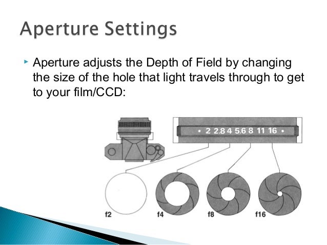 Photography: 2 - Lens Sizes and Depth of Field