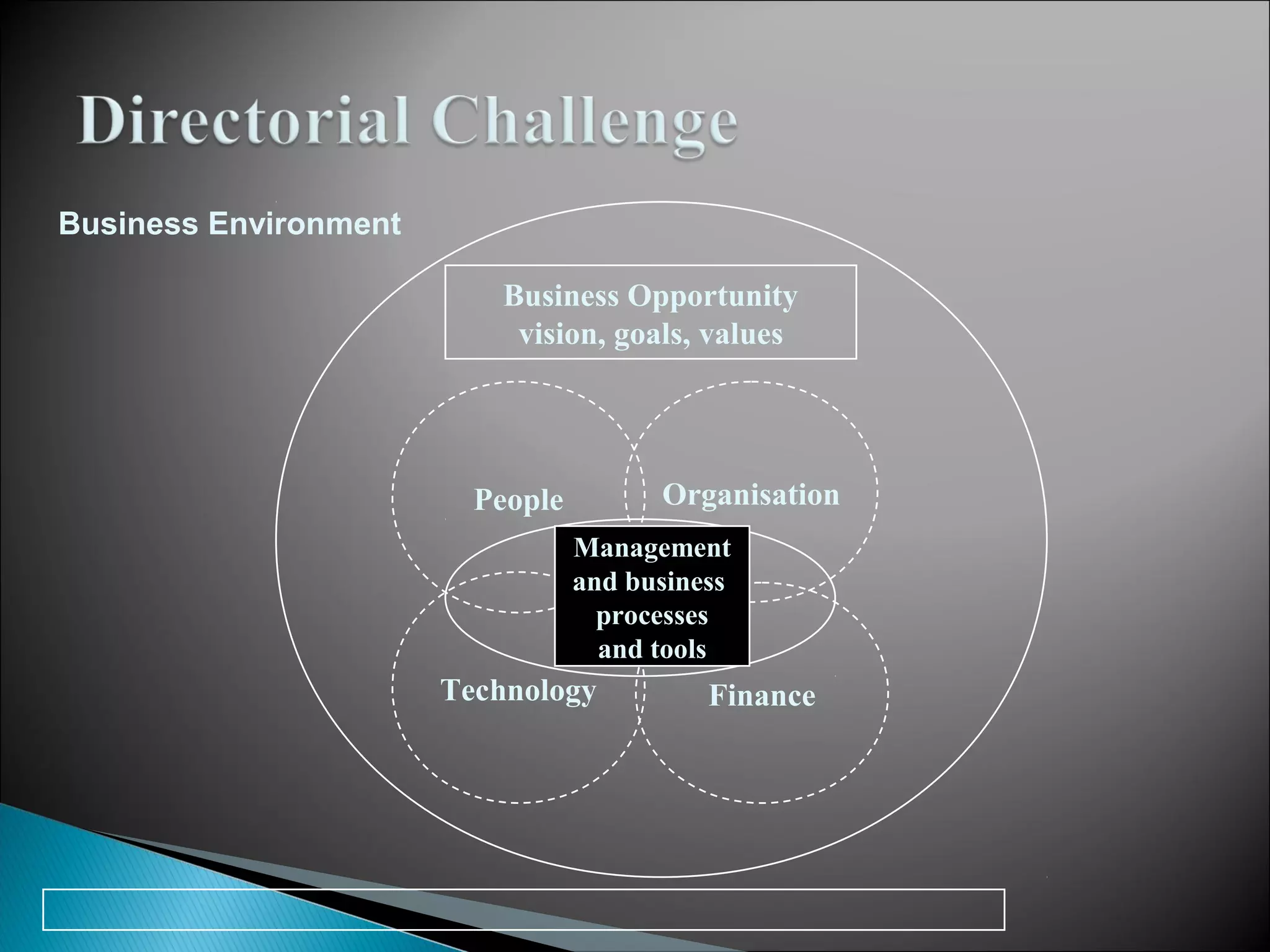 Organisation
Finance
People
Technology
Management
and business
processes
and tools
Business Opportunity
vision, goals, values
Business Environment
 