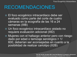 Foco EcogénicoIntracardiacoRECOMENDACIONESEl foco ecogénico intracardiaco debe ser evaluado como parte del corte de cuatro cámaras en la ecografía de las 16 a 24 semanas (IIIB) Un foco ecogénicointracardíaco aislado no requiere evaluación adicional (IIID) Mujeres con el hallazgo anterior pero con riesgo dado por edad o tamizaje serológico > 1/ 600, deberían ser aconsejadas en cuanto a la posibilidad de realizar cariotipo (II2B) Van der Hof M, Douglas WR. Fetal SoftMarkers in obstetricultrasound.Journal of  Obstetrics and Gynaecology of Canada 2005: 592-612