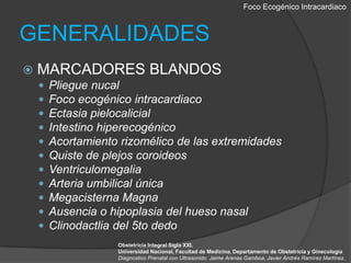 Foco EcogénicoIntracardiacoGENERALIDADESMARCADORES BLANDOSPliegue nucalFoco ecogénico intracardiacoEctasia pielocalicialIntestino hiperecogénicoAcortamiento rizomélico de las extremidadesQuiste de plejos coroideosVentriculomegaliaArteria umbilical únicaMegacisterna MagnaAusencia o hipoplasia del hueso nasalClinodactlia del 5to dedoObstetricia Integral Siglo XXI. Universidad Nacional, Facultad de Medicina, Departamento de Obstetricia y GinecologiaDiagnostico Prenatal con Ultrasonido. Jaime Arenas Gamboa, Javier Andrés Ramírez Martínez.