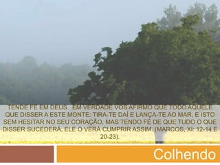 TENDE FÉ EM DEUS. EM VERDADE VOS AFIRMO QUE TODO AQUELE
 QUE DISSER A ESTE MONTE: TIRA-TE DAÍ E LANÇA-TE AO MAR, E ISTO
SEM HESITAR NO SEU CORAÇÃO, MAS TENDO FÉ DE QUE TUDO O QUE
DISSER SUCEDERÁ, ELE O VERÁ CUMPRIR ASSIM. (MARCOS, XI: 12-14 E
                            20-23).


                                            Colhendo
 