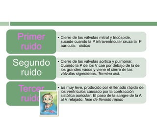 • Cierre de las válvulas mitral y tricúspide,
sucede cuando la P intraventricular cruza la P
aurícula. sístole
Primer
ruido
• Cierre de las válvulas aortica y pulmonar.
Cuando la P de los V cae por debajo de la de
los grandes vasos y viene el cierre de las
válvulas sigmoideas. Termina sist.
Segundo
ruido
• Es muy leve, producido por el llenado rápido de
los ventrículos causado por la contracción
sistólica auricular. El paso de la sangre de la A
al V relajado, fase de llenado rápido
Tercer
ruido
 