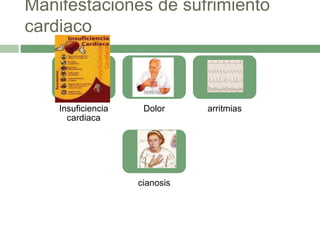 Manifestaciones de sufrimiento
cardiaco
Insuficiencia
cardiaca
Dolor arritmias
cianosis
 