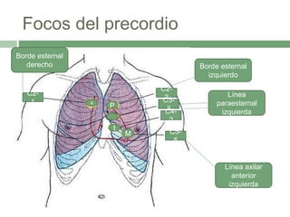 Focos del precordio
C2-
1
C2-
2C3-
3
C5-
5
C4-
2
Línea axilar
anterior
izquierda
Línea
paraesternal
izquierda
Borde esternal
derecho Borde esternal
izquierdo
PA
M
t
 