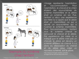 L'image représente l'assimilation
et l'accommodation. Pour
l'assimilation, le cheval et le chien
étaient des sous-schèmes du
schème mammifère et le zèbre
était un schème en soi. Puis,
l'enfant a vécu une expérience
(sa mère lui a appris que le zèbre
était un mammifère) ce qui a
ajouté un sous-schème qui a
nuancé le schème mammifère.
Pour l'accommodation, l'enfant
sous le schème cheval se
retrouvait le cheval et le zèbre.
Par expérience (sa mère lui a
indiqué que le zèbre n'est pas un
cheval), le zèbre est devenu un
schème différent du cheval. Il y a
donc eu dissociation du cheval
et du zèbre pour créer un
nouveau schème, soit le zèbre.
http://lapsychologie.weebly.com/les-
schegravemes-de-penseacutes.html
Philippe Clauzard, MCF Université de la Réunion / ESPE
 