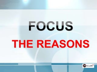 FOCUS THE REASONS 