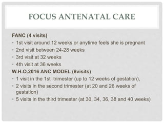 Focus antenatal care
