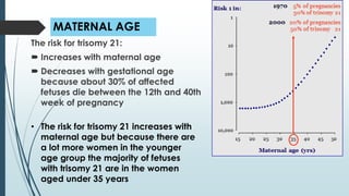 MATERNAL AGE
The risk for trisomy 21:
 Increases with maternal age
 Decreases with gestational age
because about 30% of affected
fetuses die between the 12th and 40th
week of pregnancy
• The risk for trisomy 21 increases with
maternal age but because there are
a lot more women in the younger
age group the majority of fetuses
with trisomy 21 are in the women
aged under 35 years
 