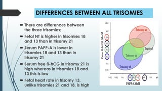 DIFFERENCES BETWEEN ALL TRISOMIES
 There are differences between
the three trisomies:
 Fetal NT is higher in trisomies 18
and 13 than in trisomy 21
 Serum PAPP-A is lower in
trisomies 18 and 13 than in
trisomy 21
 Serum free ß-hCG in trisomy 21 is
high whereas in trisomies 18 and
13 this is low
 Fetal heart rate in trisomy 13,
unlike trisomies 21 and 18, is high
 