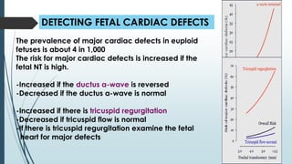 DETECTING FETAL CARDIAC DEFECTS
The prevalence of major cardiac defects in euploid
fetuses is about 4 in 1,000
The risk for major cardiac defects is increased if the
fetal NT is high.
-Increased if the ductus a-wave is reversed
-Decreased if the ductus a-wave is normal
-Increased if there is tricuspid regurgitation
-Decreased if tricuspid flow is normal
-If there is tricuspid regurgitation examine the fetal
heart for major defects
 