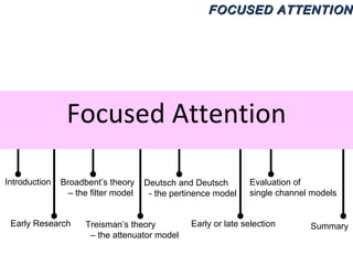 Focused Attention Introduction Early Research Broadbent’s theory –  the filter model Treisman’s theory  –  the attenuator model Deutsch and Deutsch  - the pertinence model Evaluation of  single channel models Early or late selection Summary 
