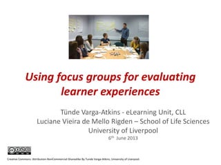 Using focus groups for evaluating learner experiences by Tunde ...