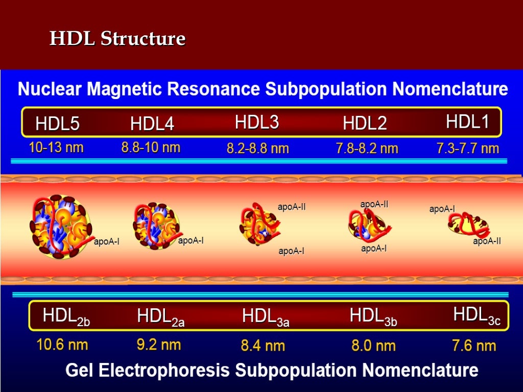 Focus on high density lipoproteins