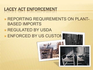 REPORTING REQUIREMENTS ON PLANT-BASED IMPORTSREGULATED BY USDAENFORCED BY US CUSTOMSLACEY ACT ENFORCEMENT
