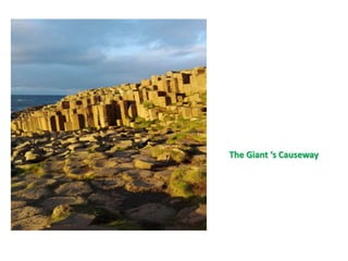 The Giant ‘s Causeway
 