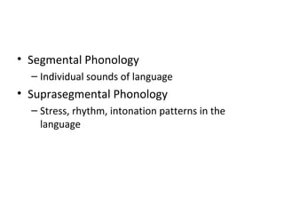 Language Suprasegmentals Focus on Language | PPT