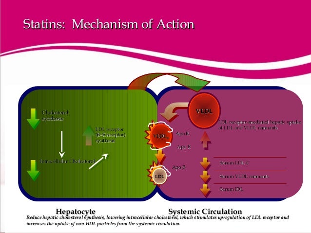Focus On Triglycerides