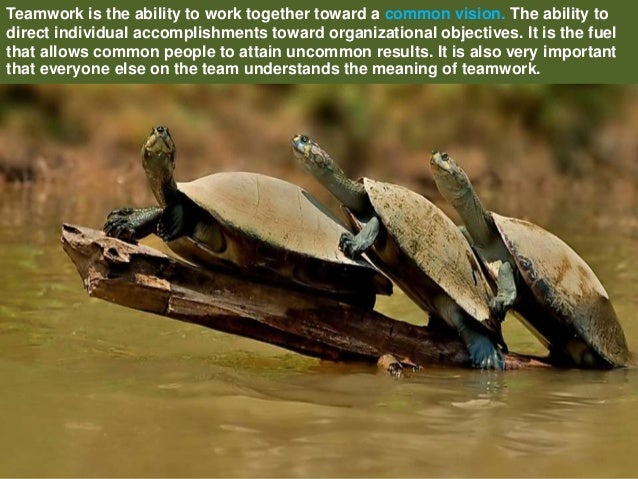 ability to work in a team