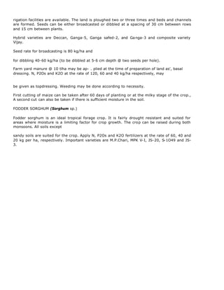 rigation facilities are available. The land is ploughed two or three times and beds and channels
are formed. Seeds can be either broadcasted or dibbled at a spacing of 30 cm between rows
and 15 cm between plants.

Hybrid varieties are Deccan, Ganga-5, Ganga safed-2, and Ga nga-3 and composite variety
Vijay.

Seed rate for broadcasting is 80 kg/ha and

for dibbling 40-60 kg/ha (to be dibbled at 5-6 cm depth @ two seeds per hole).

Farm yard manure @ 10 tlha may be ap- . plied at the time of preparation of land as', basal
dressing. N, P2Os and K2O at the rate of 120, 60 and 40 kg/ha respectively, may


be given as topdressing. Weeding may be done according to necessity.

First cutting of maize can be taken after 60 days of planting or at the milky stage of the crop.,
A second cut can also be taken if there is sufficient moisture in the soil.

FODDER SORGHUM (Sorghum sp.)

Fodder sorghum is an ideal tropical forage crop. It is fairly drought resistant and suited for
areas where moisture is a limiting factor for crop growth. The crop can be raised during both
monsoons. All soils except

sandy soils are suited for the crop. Apply N, P2Os and K2O fertilizers at the rate of 60, 40 and
20 kg per ha, respectively. Important varieties are M.P.Chari, MPK V-I, JS-20, S-1O49 and JS-
3.
 