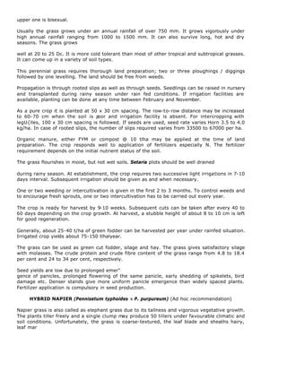 upper one is bisexual.

Usually the grass grows under an annual rainfall of over 750 mm. It grows vigorously under
high annual rainfall ranging from 1000 to 1500 mm. It can also survive long, hot and dry
seasons. The grass grows

well at 20 to 25 Dc. It is more cold tolerant than most of other tropical and subtropical grasses.
It can come up in a variety of soil types.

This perennial grass requires thorough land preparation; two or three ploughings / diggings
followed by one levelling. The land should be free from weeds.

Propagation is through rooted slips as well as through seeds. Seedlings can be raised in nursery
and transplanted during rainy season under rain fed conditions. If irrigation facilities are
available, planting can be done at any time between February and November.

As a pure crop it is planted at 50 x 30 cm spacing. The row-to-row distance may be increased
to 60-70 cm when the soil is p     oor and irrigation facility is absent. For intercropping with
legU{lles, 100 x 30 cm spacing is followed. If seeds are used, seed rate varies Horn 3.5 to 4.0
kg/ha. In case of rooted slips, the number of slips required varies from 33500 to 67000 per ha.

Organic manure, either FYM or compost @ 10 tlha may be applied at the time of land
preparation. The crop responds well to application of fertilizers especially N. The fertilizer
requirement depends on the initial nutrient status of the soil.

The grass flourishes in moist, but not wet soils. Setaria plots should be well drained

during rainy season. At establishment, the crop requires two successive light irrigations in 7-10
days interval. Subsequent irrigation should be given as and when necessary.

One or two weeding or intercultivation is given in the first 2 to 3 months. To control weeds and
to encourage fresh sprouts, one or two intercultivation has to be carried out every year.

The crop is ready for harvest by 9-10 weeks. Subsequent cuts can be taken after every 40 to
60 days depending on the crop growth. At harvest, a stubble height of about 8 to 10 cm is left
for good regeneration.

Generally, about 25-40 t/ha of green fodder can be harvested per year under rainfed situation.
Irrigated crop yields about 75-150 tlhalyear.

The grass can be used as green cut fodder, silage and hay. The grass gives satisfactory silage
with molasses. The crude protein and crude fibre content of the grass range from 4.8 to 18.4
per cent and 24 to 34 per cent, respectively.

Seed yields are low due to prolonged emer"
gence of panicles, prolonged flowering of the same panicle, early shedding of spikelets, bird
damage etc. Denser stands give more uniform panicle emergence than widely spaced plants.
Fertilizer application is compulsory in seed production.

     HYBRID NAPIER (Pennisetum typhoides x P. purpureum) (Ad hoc recommendation)

Napier grass is also called as elephant grass due to its tallness and vigorous vegetative growth.
The plants tiller freely and a single clump may produce 50 tillers under favourable climatic and
soil conditions. Unfortunately, the grass is coarse-textured, the leaf blade and sheaths hairy,
leaf mar
 