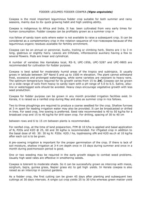 FODDER LEGUMES FODDER COWPEA (Vigna unguiculata)

Cowpea is the most important leguminous fodder crop suitable for both summer and rainy
seasons, mainly due to its- quick growing habit and high yielding ability.

Cowpea is indigenous to Africa and India. It has been cultivated from very early times for
human consumption. Fodder cowpea can be profitably grown as a summer crop in

rice fallow of sandy loam soils where water is not available to raise a subsequent crop. It can be
considered as a complementary crop in the rotation sequence of rice-ricecowpea because of the
leguminous organic residues available for fertility enrichment.

Cowpea can be an annual or perennial, bushy, trailing or climbing herb. Stems are 1 to 3 m
long, glabrous or slightly hairy. Leaves are trifoliate, inflorescence auxiliary having a few to
several flowers. Pods are linear and cylindrical.

A number of varieties like Kamataka local, RS-9, UPC-1956, UPC-5287 and UPC-9805 are
recommended for cultivation for fodder purpose.

Cowpea is best s  uited for moderately humid areas of the tropics and subtropics. It usually
grows in latitude between 30° Nand S and up to 1500 m elevation. The plant cannot withstand
frost, excessive and prolonged waterlogging, while some varieties are resistant to heavy rains.
The optimum tempera ture required for its growth varies from 15 to 2rC. Cowpea can be grown
on a wide range of soils from heavy to sandy loam with a pH range of 5.0 to 6.5. Saline, alka-
line or waterlogged soils should be avoided. Heavy clays encourage vegetative growth with less
seed produCtion.

Cowpea for fodder purpose can be grown in any month provided irrigation facilities exist. In
Kerala, it is raised as a rainfed crop during May and also as summer crop in rice fallows.

Two to three ploughings are required to produce a coarse seedbed for the crop. Shallow furrows
at 3 m apart for leading irrigation water may also be provided. It can be broadcasted or drilled
in lines. For seed crop, line sowing is preferred. Seed rate recommended is 40 to 50 kg/ha for a
broadcast crop and 15 to 40 kg/ha for drill sown crop. For drilling, spacing of 30 to 40 cm

between rows and 6 to 15 cm between plants is recommended.

For rainfed crop, at the time of land prepara tion, FYM @ 10 t/ha is applied and basal application
of N, P2Os and K2O @ 25, 60 and 30 kglha is recommended. For ilTigated crop in addition to
the basal dose of 40: 30: 30 kg N: P2Os: K2O / ha, topdressing ofN and K2O ea.ch at 10 kg/ha
after each cut is to be given.

A pre-sowing irrigation is important for the proper germination of the crop. If there is lack of
soil moisture, shallow irrigation at 3-4 cm depth once in 15 days during summer and once in a
month during postmonsoon period is good.

One or two weeding may be required in the early growth stages to combat weed problems.
Usually high seed rates are effective in smothering weeds.

Cowpea is tolerant to moderate shade. So it can be successfully grown as intercrop with maize,
sorghum, bajra, guinea grass, Napier grass etc to get high yields. In Kerala cowpea is also
raised as an intercrop in coconut gardens.

As a fodder crop, the first cutting can be given 45 days after planting and subsequent two
cuttings at 30 days intervals. A single cut crop yields 25 to 30 t/ha whereas green matter yield
 