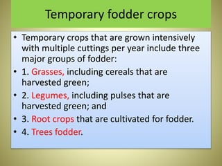 Temporary fodder crops
• Temporary crops that are grown intensively
with multiple cuttings per year include three
major groups of fodder:
• 1. Grasses, including cereals that are
harvested green;
• 2. Legumes, including pulses that are
harvested green; and
• 3. Root crops that are cultivated for fodder.
• 4. Trees fodder.
 
