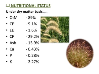  NUTRITIONAL STATUS
Under dry matter basis…..
• O:M - 89%
• CP - 9.1%
• EE - 1.6%
• CF - 29.2%
• Ash - 15.9%
• Ca - 0.43%
• P - 0.28%
• K - 2.27%
 