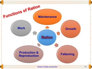 Maintenance
Growth
Fattening
Production &
Reproduction
Work
Green Fodder production 11
 