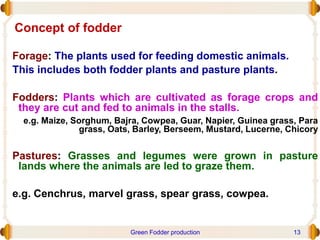 Forage: The plants used for feeding domestic animals.
This includes both fodder plants and pasture plants.
Fodders: Plants which are cultivated as forage crops and
they are cut and fed to animals in the stalls.
e.g. Maize, Sorghum, Bajra, Cowpea, Guar, Napier, Guinea grass, Para
grass, Oats, Barley, Berseem, Mustard, Lucerne, Chicory
Pastures: Grasses and legumes were grown in pasture
lands where the animals are led to graze them.
e.g. Cenchrus, marvel grass, spear grass, cowpea.
Concept of fodder
Green Fodder production 13
 