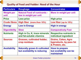 Quality of Feed and Fodder: Need of the Hour
Particulars Roughage Concentrates
Weight per
unit
Natural Feed of ruminants -
low in weight per unit
More in weight per unit
Price Less price High price
Crude fibres High fiber (more than 18%) Low fiber (up to 18%)
Energy Low in Energy High in energy
Digestibility Slow Comparatively Fast
Nutrients High in Ca, K, trace minerals
and fat-soluble vitamins
Respective nutrients in
individual ingredient
Sources Grasses, cultivated fodder,
crop residues
Grains, Cakes, Agro
byproducts, by pass fat
& Protein, etc.
Availability Naturally grown & cultivated
but availability is reducing
Have to prepare
but availability can be
maintained
Green Fodder production 15
 