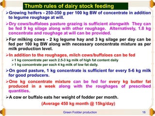 Thumb rules of dairy stock feeding
Growing heifers - 250-350 g per 100 kg BW of concentrate in addition
to legume roughage at will.
Dry cows/buffaloes pasture grazing is sufficient alongwith They can
be fed 9 kg silage along with other roughage. Alternatively, 1.8 kg
concentrate and roughage at will can be provided.
For milking cows - 2 kg legume hay and 3 kg silage per day can be
fed per 100 kg BW along with necessary concentrate mixture as per
milk production level.
In addition to the roughages, milch cows/buffaloes can be fed
1 kg concentrate per each 2.5-3 kg milk of high fat content daily
1 kg concentrate per each 4 kg milk of low fat daily.
On good pasture, 1 kg concentrate is sufficient for every 5-6 kg milk
for good producers.
One kg concentrate mixture can be fed for every kg butter fat
produced in a week along with the roughages of prescribed
quantities.
A cow or buffalo eats her weight of fodder per month.
(Average 450 kg month @ 15kg/day)
Green Fodder production 16
 