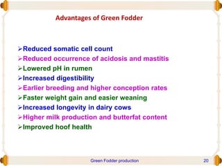 Advantages of Green Fodder
Reduced somatic cell count
Reduced occurrence of acidosis and mastitis
Lowered pH in rumen
Increased digestibility
Earlier breeding and higher conception rates
Faster weight gain and easier weaning
Increased longevity in dairy cows
Higher milk production and butterfat content
Improved hoof health
Green Fodder production 20
 