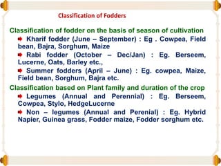 Classification of Fodders
Classification of fodder on the basis of season of cultivation
Kharif fodder (June – September) : Eg . Cowpea, Field
bean, Bajra, Sorghum, Maize
Rabi fodder (October – Dec/Jan) : Eg. Berseem,
Lucerne, Oats, Barley etc.,
Summer fodders (April – June) : Eg. cowpea, Maize,
Field bean, Sorghum, Bajra etc.
Classification based on Plant family and duration of the crop
Legumes (Annual and Perennial) : Eg. Berseem,
Cowpea, Stylo, HedgeLucerne
Non – legumes (Annual and Perenial) : Eg. Hybrid
Napier, Guinea grass, Fodder maize, Fodder sorghum etc.
 