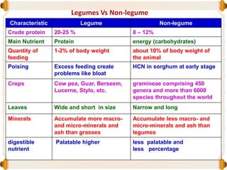 Legumes Vs Non-legume
Characteristic Legume Non-legume
Crude protein 20-25 % 8 – 12%
Main Nutrient Protein energy (carbohydrates)
Quantity of
feeding
1-2% of body weight about 10% of body weight of
the animal
Poising Excess feeding create
problems like bloat
HCN in sorghum at early stage
Crops Cow pea, Guar, Berseem,
Lucerne, Stylo, etc.
gramineae comprising 450
genera and more than 6000
species throughout the world
Leaves Wide and short in size Narrow and long
Minerals Accumulate more macro-
and micro-minerals and
ash than grasses
Accumulate less macro- and
micro-minerals and ash than
legumes
digestible
nutrient
Palatable higher less palatable and
less percentage
 