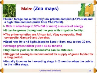 Maize (Zea mays)
Green forage has a relatively low protein content (3-13% DM) and
a high fibre content (crude fibre 19-36%DM).
 Rich in starch (up to 30% DM or more) a source of energy
It can be grown throughout the year with irrigation facility.
The prime varieties are African tall, Vijay composite, Moti
composite, Ganga-5 and Jawahar.
Seed rate 40 to 45 kg/ha.(seed to Seed :15cm, row to row 30 cm.
Average green fodder yield : 45-50 tons/ha
Dry matter yield is 10-15 tones/ha can be obtained.
Staggered sowing is recommended for supply of green fodder for
a long period.
Usually it comes to harvesting stage in 2 months when the cob is
in the milky stage.
Green Fodder production 26
 