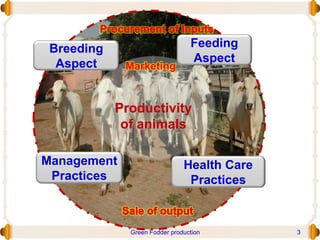 Productivity
of animals
Breeding
Aspect
Feeding
Aspect
Management
Practices
Health Care
Practices
Marketing
Green Fodder production 3
 