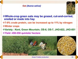Oat (Avena sativa)
Whole-crop green oats may be grazed, cut-and-carried,
ensiled or made into hay
7-9% crude protein, can be increased up to 11% by nitrogen
Winter crops
Variety : Kent, Green Mountain, OS-6, OS-7, JHO-822, JHO-851
Yield :450-550 quintals/ hectare
Green Fodder production 33
 