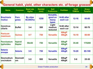 General habit, yield, other characters etc. of forage grasses
Name Common
Seed rate
Kg/ha
Rainfall
(mm)
Soil
Preference
Fertilizer
Yield
TDM/ha
Green
Tons/ha
Brachiaria
mutica
Para
grass
By slips
40,000/ha
1250
Versatile,
good on
heavy
types
N-60 after
each cut
12-16 60-80
Cenchrus
ciliaris
Buffel 3-4 300
Light
medium
textured
N-60 after
each cut
12-14 60-70
Panicum
maximum
Guinea 4-7 750 Versatile
60kgP
40kgK 16-18 80-90
Pennisetum
typhoideu
Hybrid
Napier
50x50 750 Versatile
60kgP
40kgK
35-40 175200
Setaria
anceps
Setaria 3-5 750 Versatile
60kgP
40kgK 16-20 80-100
Desmodium
uncinatum
Desmodi
um
3-5 900 Versatile
60kgP
40kgK
5-6 25-30
Green Fodder production 34
 