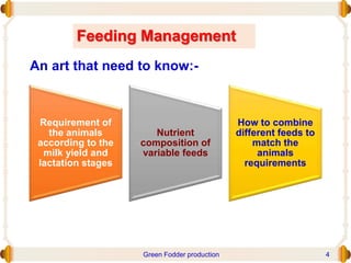Feeding Management
Requirement of
the animals
according to the
milk yield and
lactation stages
Nutrient
composition of
variable feeds
How to combine
different feeds to
match the
animals
requirements
An art that need to know:-
Green Fodder production 4
 