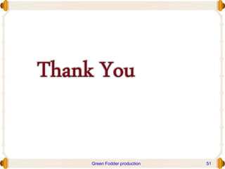 Green Fodder production 51
 