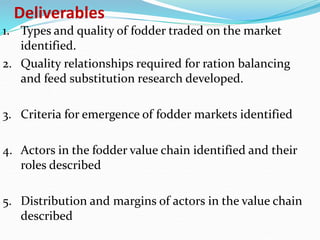 Fodder markets study in Tanzania