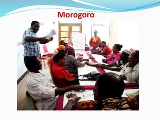 Fodder markets study in Tanzania